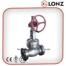 API Gear Operated Stainless Steel Flanged Globe Valve